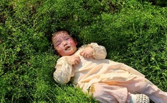 张筱两两腿打开图